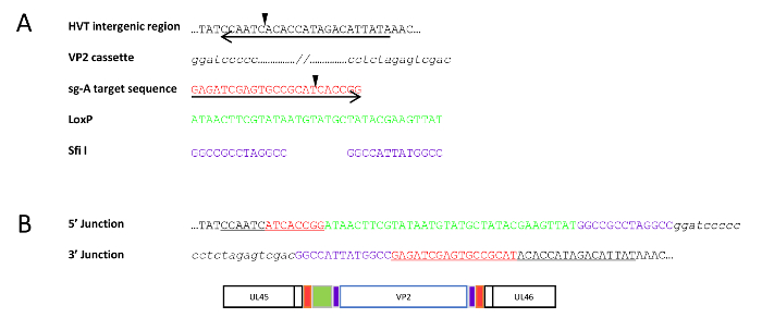figure-results-3