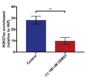 Bar graph of H3K27ac enrichment, control vs. CEM23, gene expression analysis.