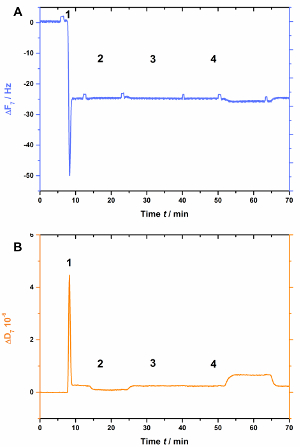 figure-results-7 Graph comparing frequency shift and optical density over time in experimental data analysis.