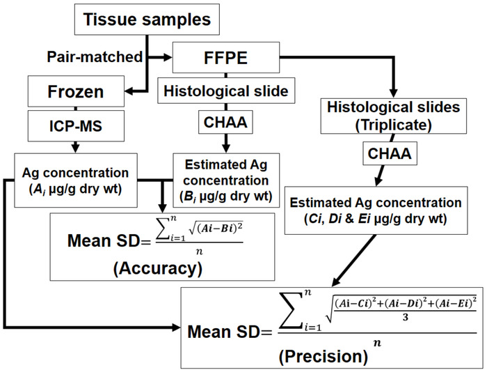 figure-protocol-3 Tissue analysis flowchart, Ag concentration, ICP-MS, FFPE, CHAA, accuracy, precision equations.