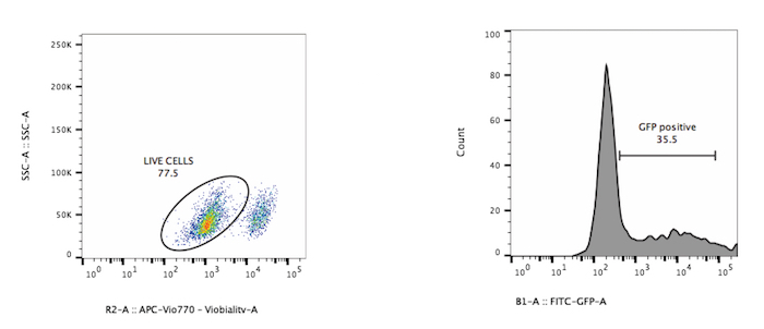 figure-results-1 Flow cytometry analysis; live cells scatter plot, GFP expression histogram.