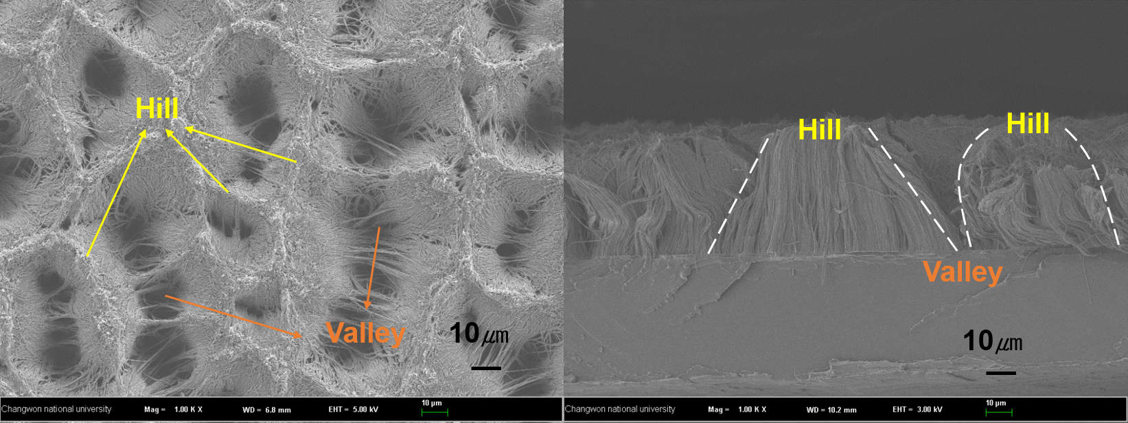 Video: Multiscale Structures Aggregated by Imprinted Nanofibers for ...