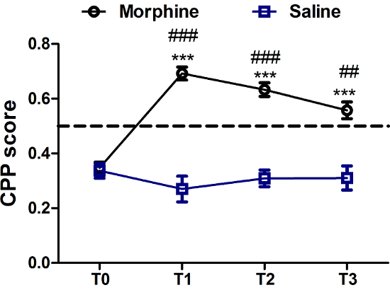 Conditioned place preference chart comparing morphine and saline CPP scores over time.