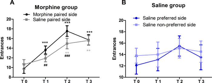 Morphine vs saline group entrance results, two-line graphs, behavioral study, statistical analysis.