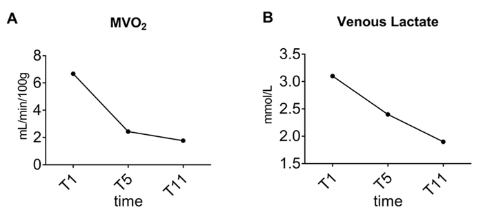 MVO2 and venous lactate decline over time; dual line graphs, metabolic change analysis.