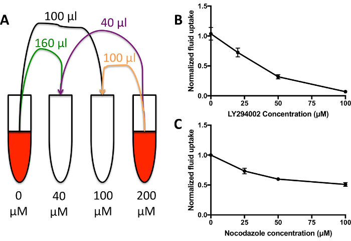 figure-results-3 Chromatography setup with fluid transfer, concentration graph; drug impact analysis, μM scale.