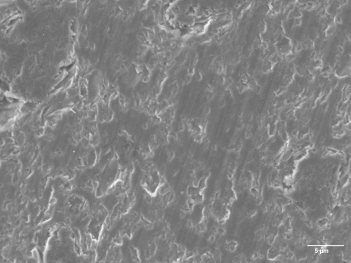 Scanning electron microscope image of rough surface at 5µm scale for material analysis study.