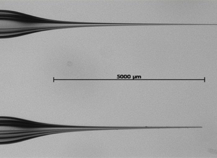 figure-results-1