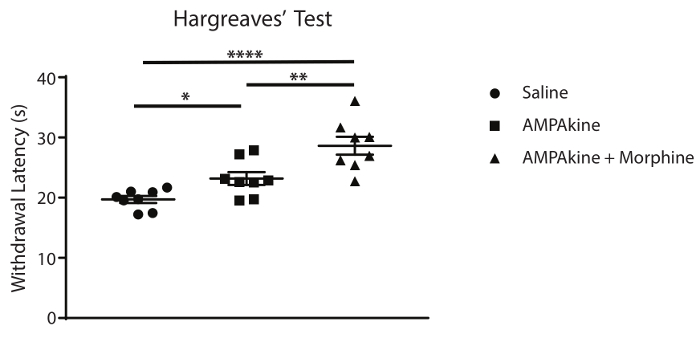 Hargreaves' Test graph; withdrawal latency (s) for Saline, AMPAkine, AMPAkine+Morphine comparison.