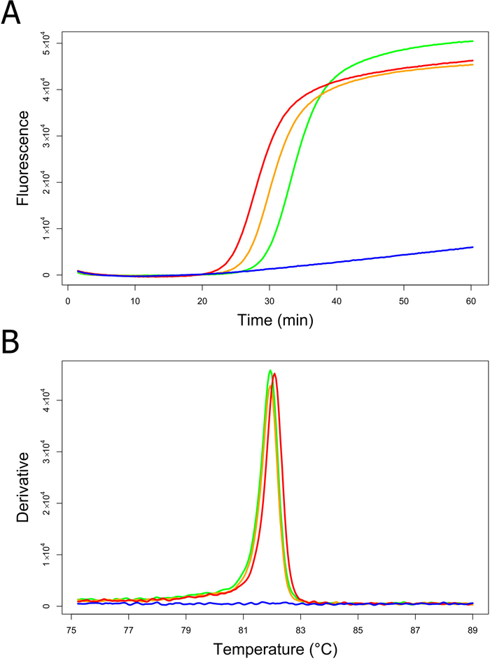 Fluorescence vs. time and temperature derivative charts for quantitative PCR analysis.