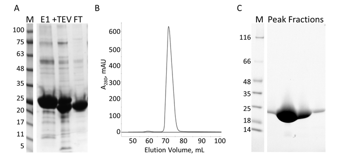 figure-results-7