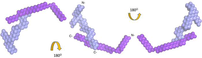figure-results-3