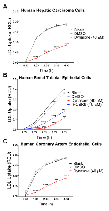 figure-results-2 LDL uptake kinetics graph; Dynasore inhibition; epithelial, artery, carcinoma cells; time course.