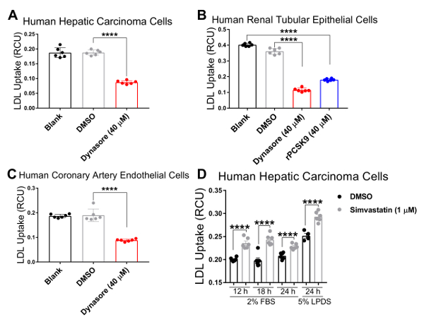 figure-results-4 LDL uptake bar graphs in human cells; dynasore effect comparison; statistical significance shown.