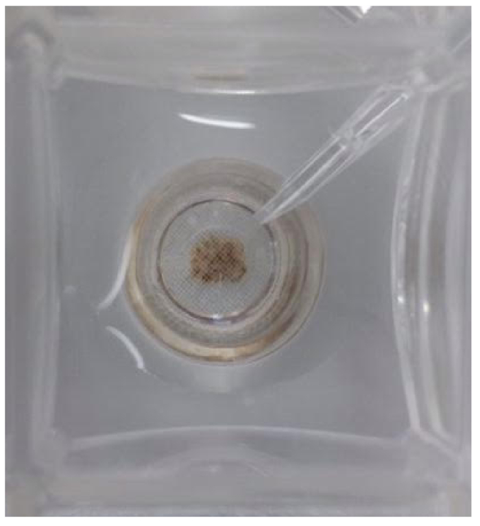 figure-results-1 Static equilibrium setup with pipette and filter membrane for particle filtration experiment.