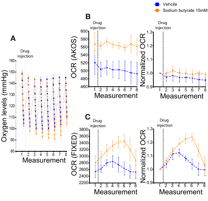 figure-results-3 Oxygen consumption rates in graphical results; sodium butyrate vs vehicle post-drug injection analysis.