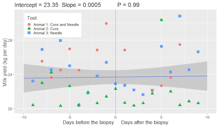 Produção de leite versus tempo de biópsia; gráfico de dispersão com regressão, indicando variabilidade da ferramenta, P=0,99.