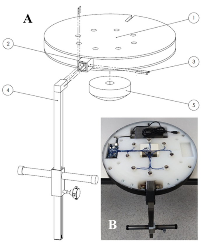 Static equilibrium apparatus; schematic and photo of force table setup for balance studies.