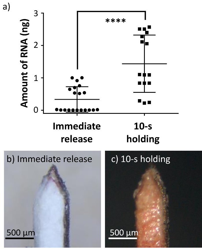 figure-results-3 RNA extraction comparison; a) Graph: Immediate vs. 10s holding; b-c) Microscopy images, 500µm scale.