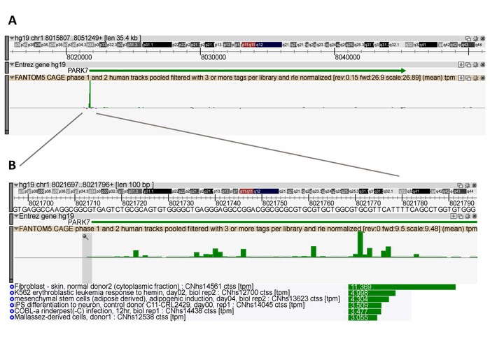 Genomic annotation diagram showing PARK7 gene expression across various cell types with tag mapping.