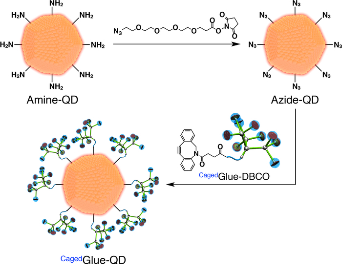 Quantum dot modification diagram; amine to azide conversion; chemical reaction process.