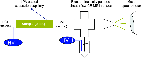 Capillary electrophoresis-mass spectrometry diagram; LPA-coating, sheath flow, HV voltage, separation.