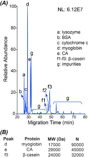Electrophoresis chart, protein migration time, myoglobin, β-casein, impurity detection analysis.