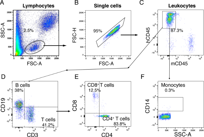 Flow cytometry diagram; lymphocyte, leukocyte, monocyte data; cell population analysis results.