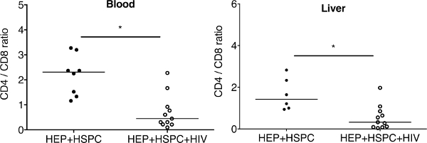 CD4/CD8 ratio analysis; blood and liver comparison; dot plot; immune response study.