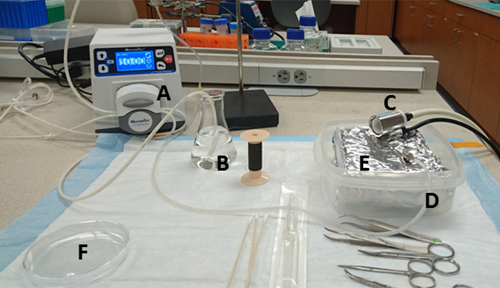 figure-results-1 Electrospinning setup with syringe pump, collector, conductive solution for nanofiber fabrication.