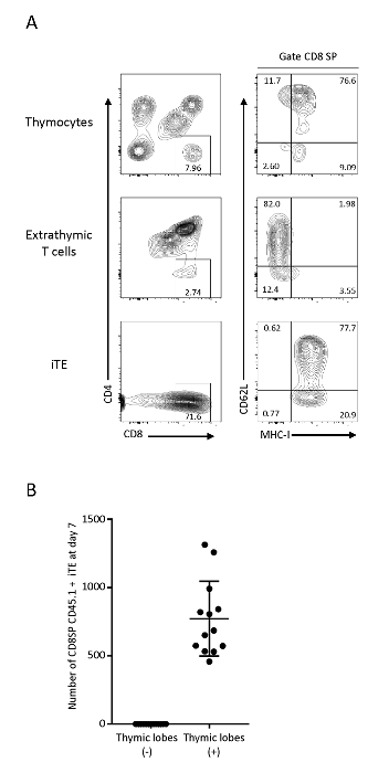 figure-results-3 figure-results-3