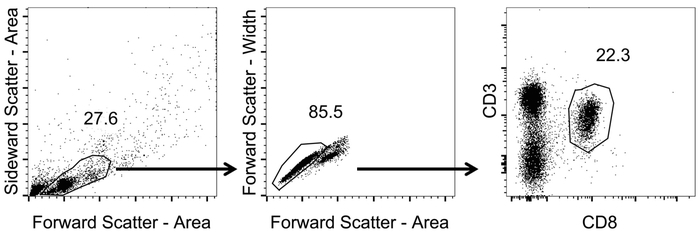 Flow cytometry scatter plot; forward vs. side scatter; CD3, CD8 analysis; cell population gating.