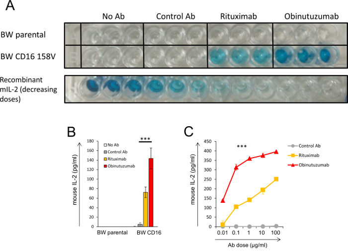 ELISA assay results; antibody dose-response graph; Rituximab, Obinutuzumab; IL-2 quantification.