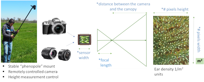 Phenopole camera setup for plant canopy measurement; includes sensor, focal length, and pixel density diagram.