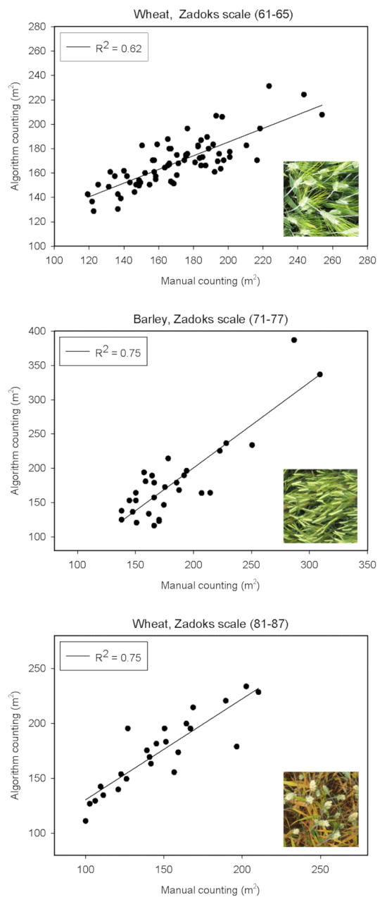 figure-results-1