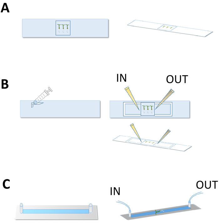 figure-results-1