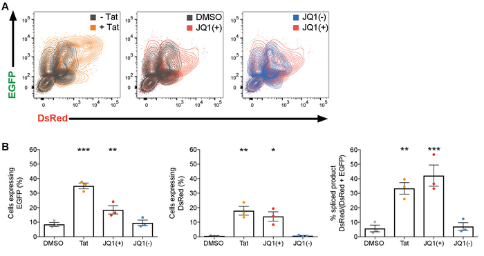 Flow cytometry and bar graph analyses showing EGFP and DsRed expression in cell samples with JQ1.