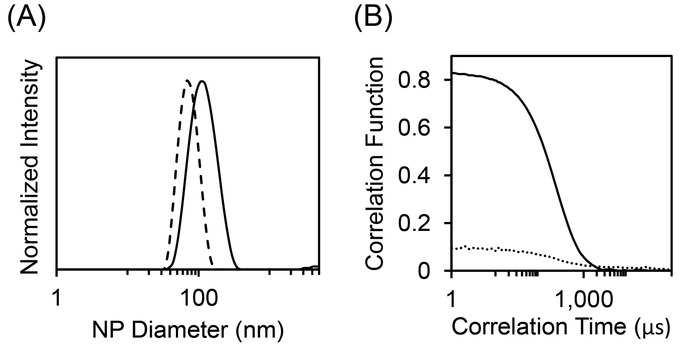 NP diameter analysis; graph (A), correlation time study; graph (B), dynamic light scattering.
