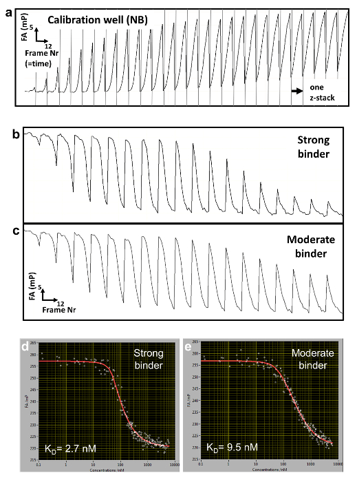 Fluorescence anisotropy graphs and binding curves; strong vs. moderate binders; data analysis results.