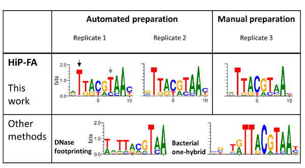 HiP-FA sequence analysis chart, comparing automated vs. manual DNA preparation, alignment results.