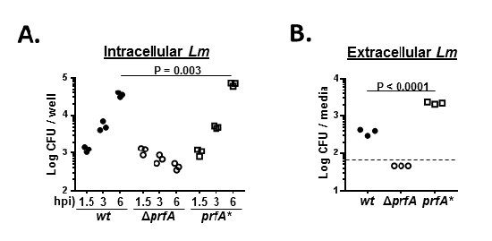 Intracellular and extracellular Lm growth comparison, CFU data analysis, statistical significance shown.