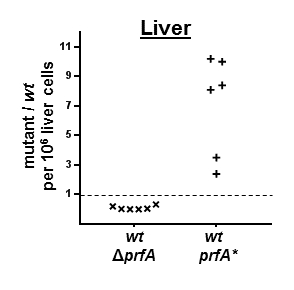 Liver mutant/wt ratio chart; genetic analysis; ΔprfA vs prfA* mutant comparison; research data.