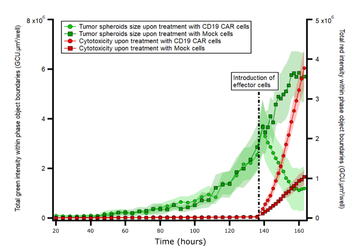 figure-results-3 Tumor spheroids cytotoxicity and growth over time; CD19 CAR cells vs. Mock cells; line graph.