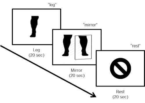 static equilibrium diagram; leg exercise sequence with mirror and rest phases, 20 sec each.