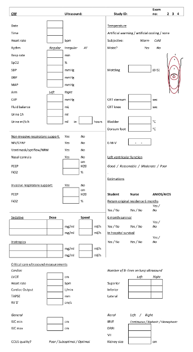 figure-results-3 Medical assessment chart with vital signs, respiratory support, and cardiac ultrasound data.