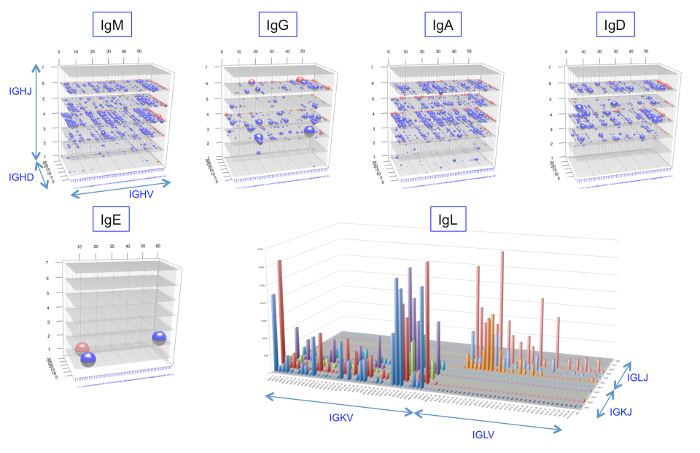 figure-results-4 Immunoglobulin distribution in 3D charts. Antibody isotype analysis: IgM, IgG, IgA, IgD, IgE, IgL.