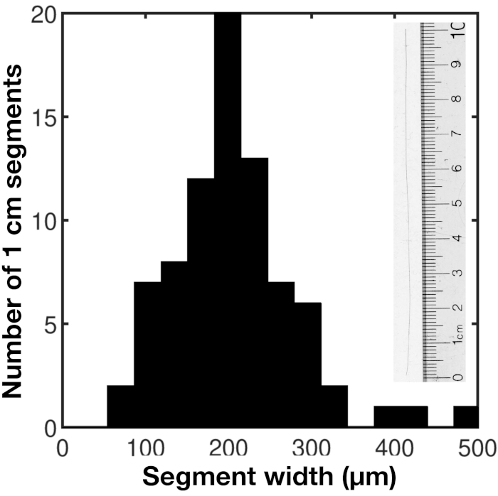 Histogram chart of segment width distribution (µm) with scale ruler, data analysis visualization.