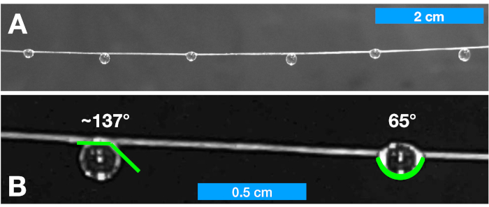 Droplet spreading angle measurement, static equilibrium, diagram, contact angle analysis.