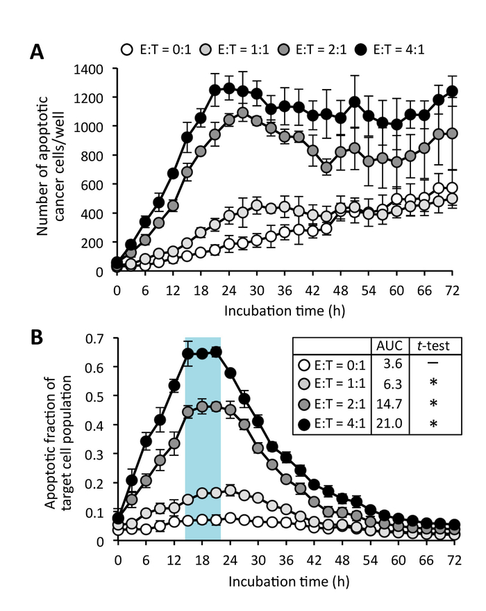 figure-results-5 Apoptotic cancer cell count vs. time at different E:T ratios, experimental graph, statistical analysis.