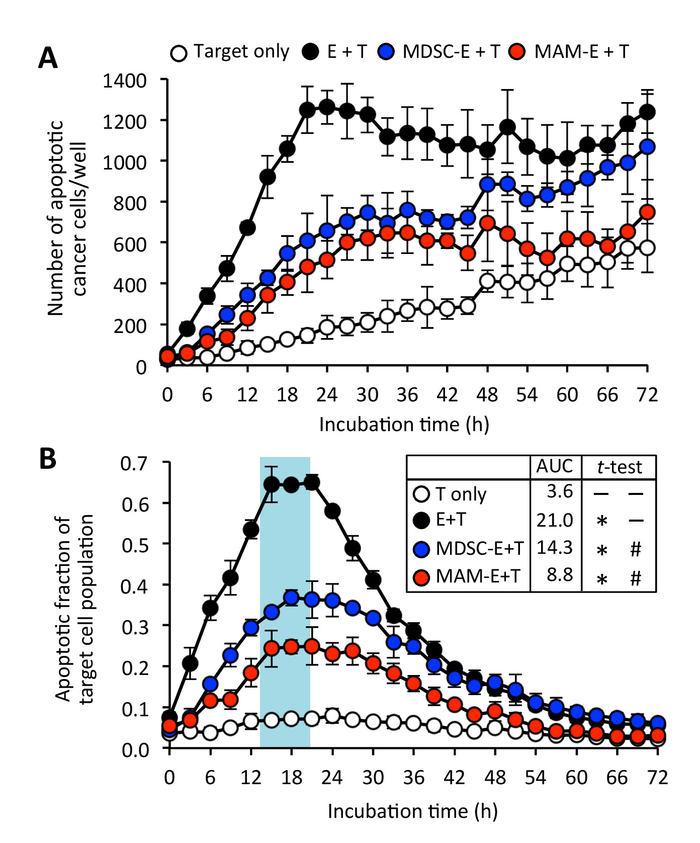figure-results-6 Cancer cell apoptosis chart; experimental graph comparing cell death over time for different treatments.